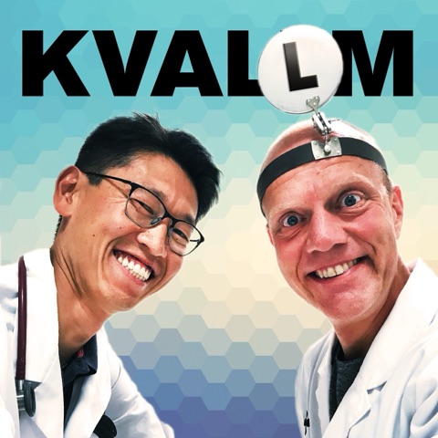 KVALLM-omslaget med Kristian Høines og Morten Munkvik